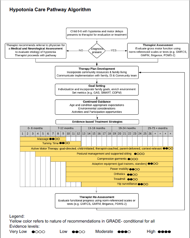 Hypotonia Care Pathway Algorithm