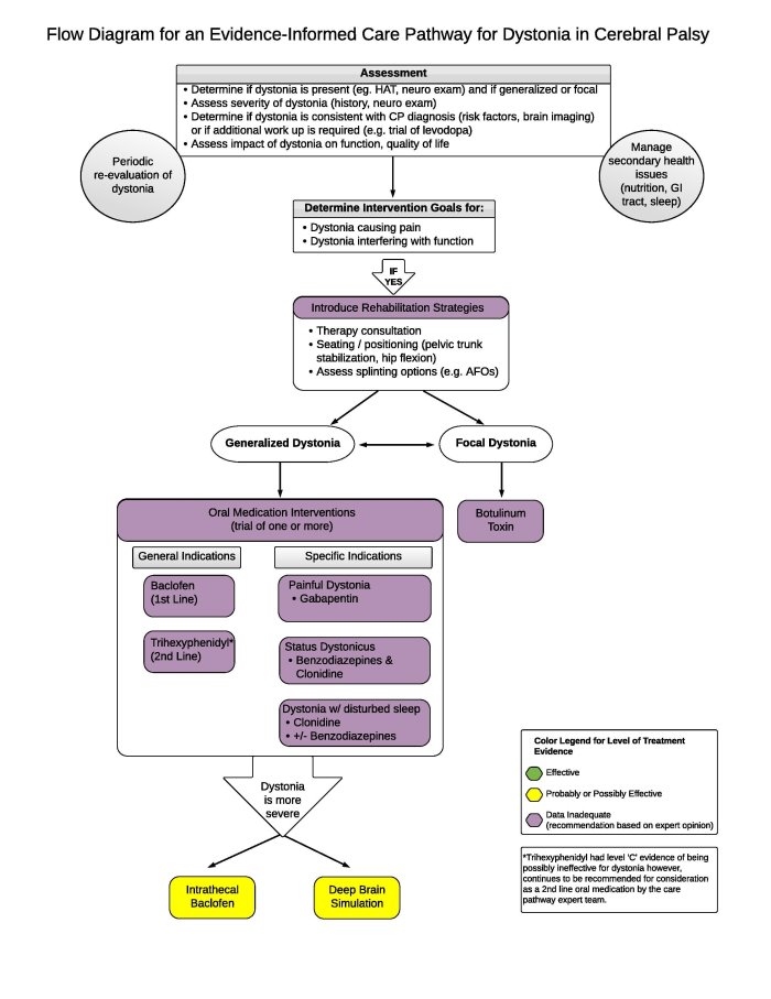 Cerebral Palsy Assessment Chart